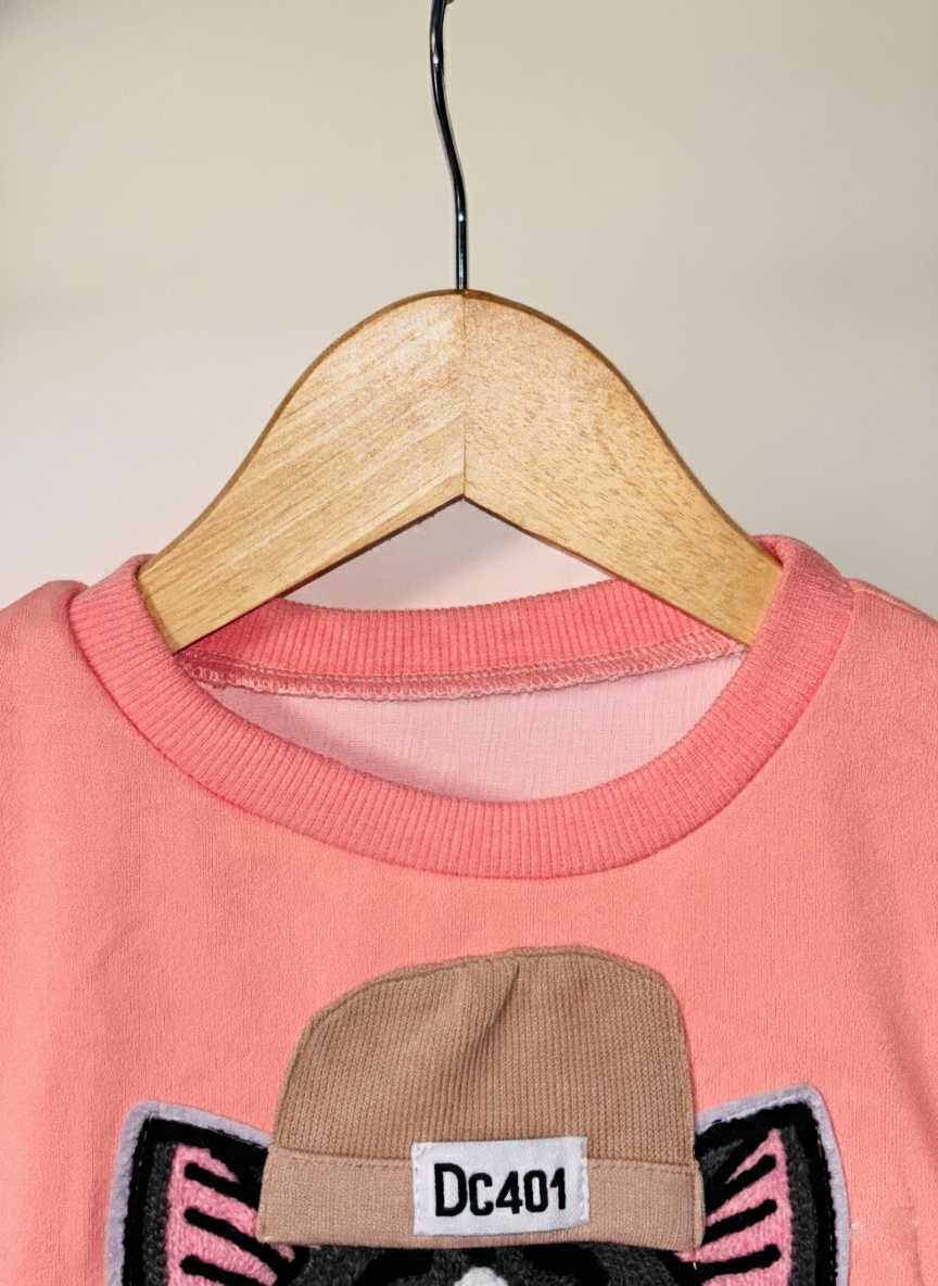 5 Full Sleeves Light Winter Cat Embroidery Sweatshirt With Joggers Set Pink Color_kidzysmile