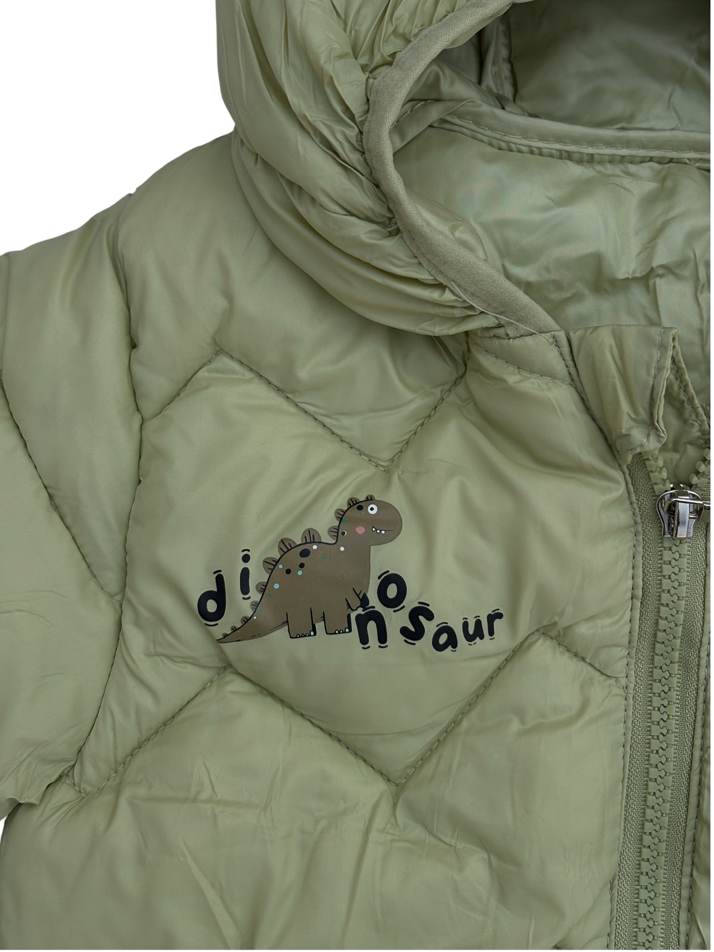 3 Boys/Girls Winter Wear Dinosaur Hooded Puffer Jacket Ultra Soft & Warm Light Green Color_kidzysmile
